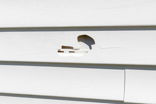 Best Residential Vinyl Siding Installation  in Wesley Chapel, NC