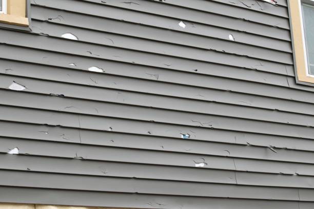 Best Brick Veneer Siding  in Wesley Chapel, NC