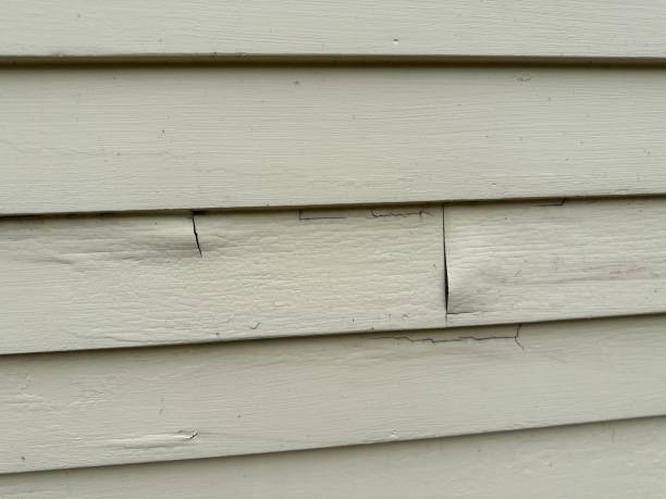 Best Storm Damage Siding Repair  in Wesley Chapel, NC